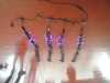 R507 Purple Curtain light