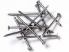 Galvanized Common Steel Nails for Tough Framing work