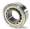 hot sale nsk- skf -fag cylindrical roller bearing