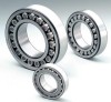 hot sale nsk- skf -fag cylindrical roller bearing