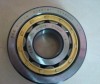 hot sale nsk- skf -fag cylindrical roller bearing