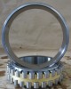 hot sale nsk- skf -fag cylindrical roller bearing