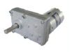 DC GEAR MOTOR (RS555-PAG)