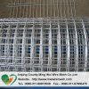 2x2 galvanized welded wire mesh for fence panel at lower price