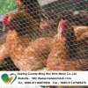 poultry hexagonal wire mesh for sale