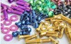 Colorful titanium Ti bolts screws for bike bicycle motor car