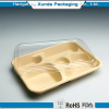 Fast Food Disposable Plastic Container Packaging