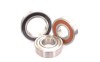 6011-2RS Deep groove ball bearings