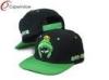 Cartoon 3D Embroidery Childrens Baseball Caps With Plastic Snap Closure