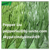 Synthetic Futsal football field Turf Lawn