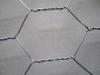 Plastic Galvanized Hexagonal Wire Netting , 25 - 50mm Hole For Garden