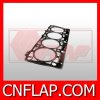 Cylinder Head Gasket CNFLAP