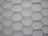 Hot-dipped galvanized Hexagonal Wire Netting for poultry enclosure