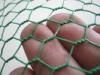 Vinyl Coated Hexagonal Wire Netting/PVC Hexagonal Wire Netting