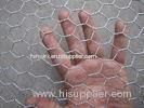 Decorative Metal Hexagonal 2 Inch Wire Mesh , Chicken Wire Poultry Netting