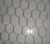 Hexagonal Galvanized Chicken Wire Mesh , Anti Corrosion Poultry Netting