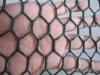 Black Chicken Wire Netting Hot Dipped Galvanized Hexagonal Mesh Fence