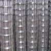 Industrial Galvanized Welded Wire Mesh 2'' PVC Coated For Garden