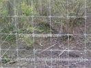 Welded Square Field Wire Mesh Fencing 2.0 - 3.0mm With High Tensile Galvanized Steel