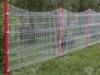 Curvy Pvc Coated Welded Wire Mesh Fence With ISO Certificated White Colour