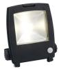 10-50W IP65 COB Led Projection Light