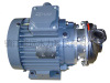 3kw high speed magnetic drive pump high speed pump