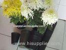 LLDPE / HDPE Round Plastic Plant Pots flexible for indoor and outdoor