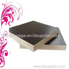 GIGA 18MM film faced shuttering plywood