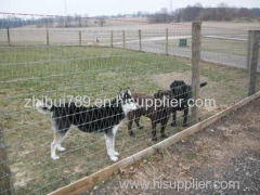 Livestock Fencing for All Types of Domestic Animals