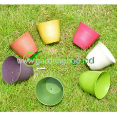 biodegradable Classic Flower Pot fleur