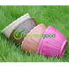 biodegradable Classic Flower Pot fleur