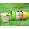 biodegradable Sunny Flower Pot fleur