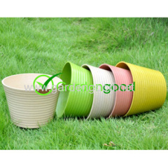 biodegradable Sunny Flower Pot fleur