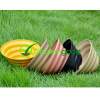 biodegradable Sunny Flower Pot fleur