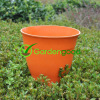 Biodegradable Tokyo Flower Pot fleur