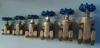 OEM Service Offer and Competitive Price Brass Gate Valve