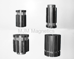 Magnetic rotor for DC motors