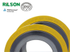 Ss304 Spiral Wound Gasket with Inner & Outer Rings (RS1-CGI)