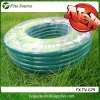 1/2'' Green PVC Garden Hose 25M