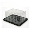 Clear plastic packaging container for cake