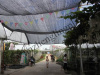 85% Sun Shade Windbreak Mesh Net Tear/Fray Resistant 2m 4m 6m 8m Crop Plant