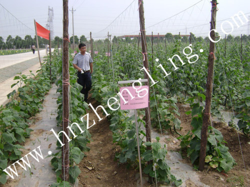 Climbing Nets for bare walls or to support vines/veges/flowers 2*60m