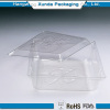 clear plastic cake box with hinged lids