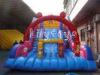 PVC 0.55mm Red Blue Inflatable Slide Rental / Double Lane Inflatable Slip Slide