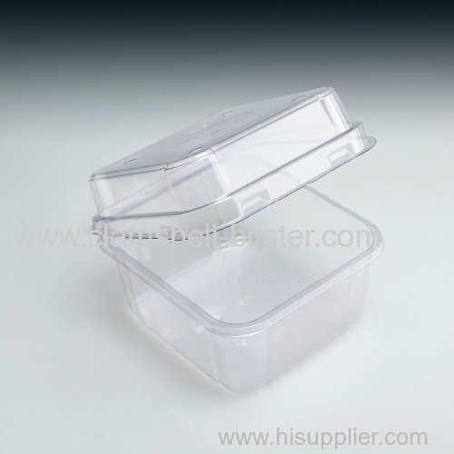 Square clear plastic box with hinged lid