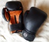 Boxing gloves leather 10 oz