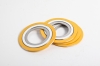 PTFE Spiral wound gasket with outer ring RS1-CGI ASME B16.20
