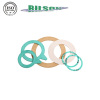 Non-matallic Flat gasket FF/GF