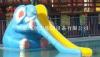 Custom Fiber Glass Childrens Animal Water Slide With Mouth Slide