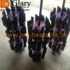 CNC Precise Machining LED Lights Heat Sink/Heatsinks,Customized LED Cooler